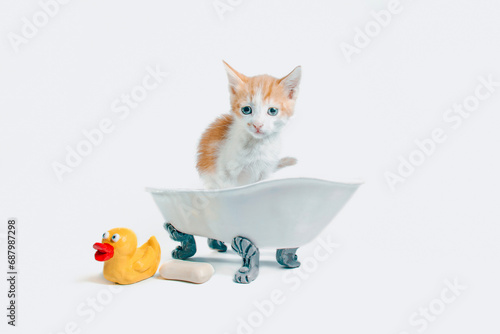 Quadro su tela red and white kitten sits in a toy bathtub next to a bar of soap and a yellow ru