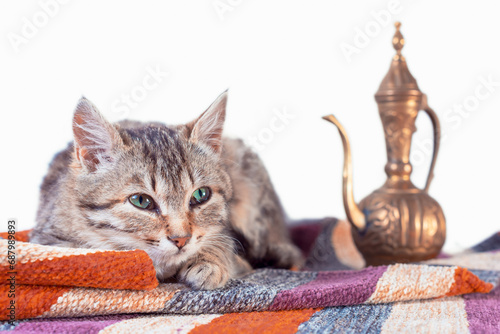 tabby cat with oriental carpet and brass teapot photo
