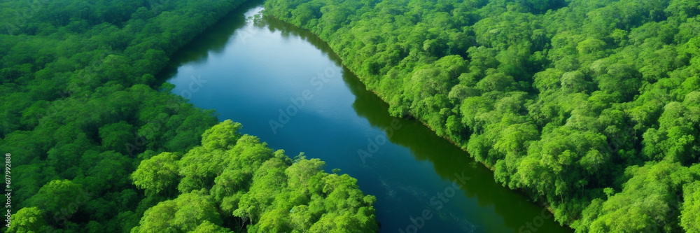 Amazon rainforest. Generative AI. Amazon rainforest. Generative AI.