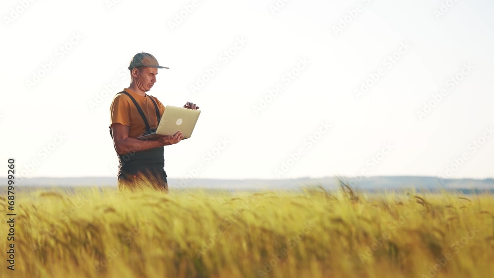 agriculture wheat. two farmer work in a field with wheat. agriculture business farm concept. farmer examining wheat sprouts in lifestyle an agricultural field and check them with laptop agriculture wheat. two farmer work in a field with wheat. agriculture business farm concept. farmer examining wheat sprouts in lifestyle an agricultural field and check them with laptop