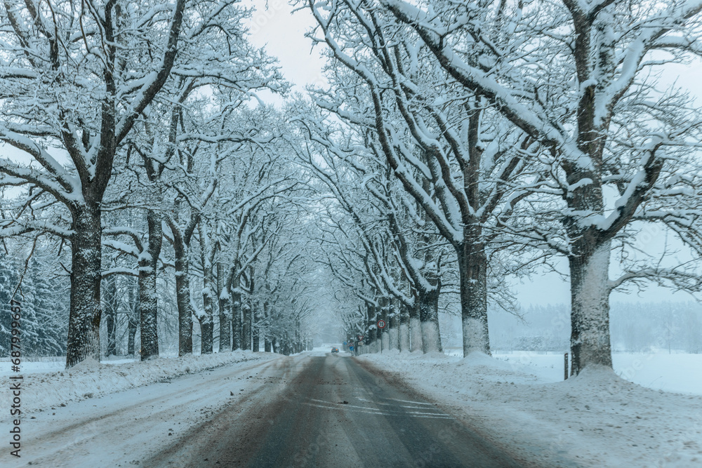 A Wintry Path Through a Chilly Forest with Snow Covered Trees. Winter road through snowy forest, tree lined and cold temperature. A Wintry Path Through a Chilly Forest with Snow Covered Trees. Winter road through snowy forest, tree lined and cold temperature.