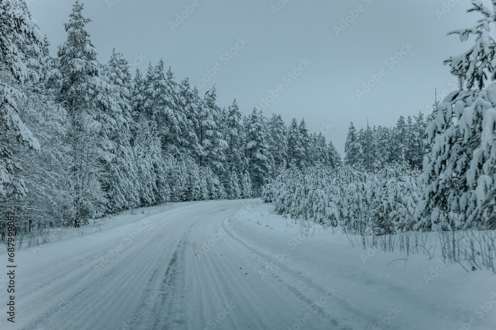 A Wintry Path Through a Chilly Forest with Snow Covered Trees. Winter road through snowy forest, tree lined and cold temperature. A Wintry Path Through a Chilly Forest with Snow Covered Trees. Winter road through snowy forest, tree lined and cold temperature.