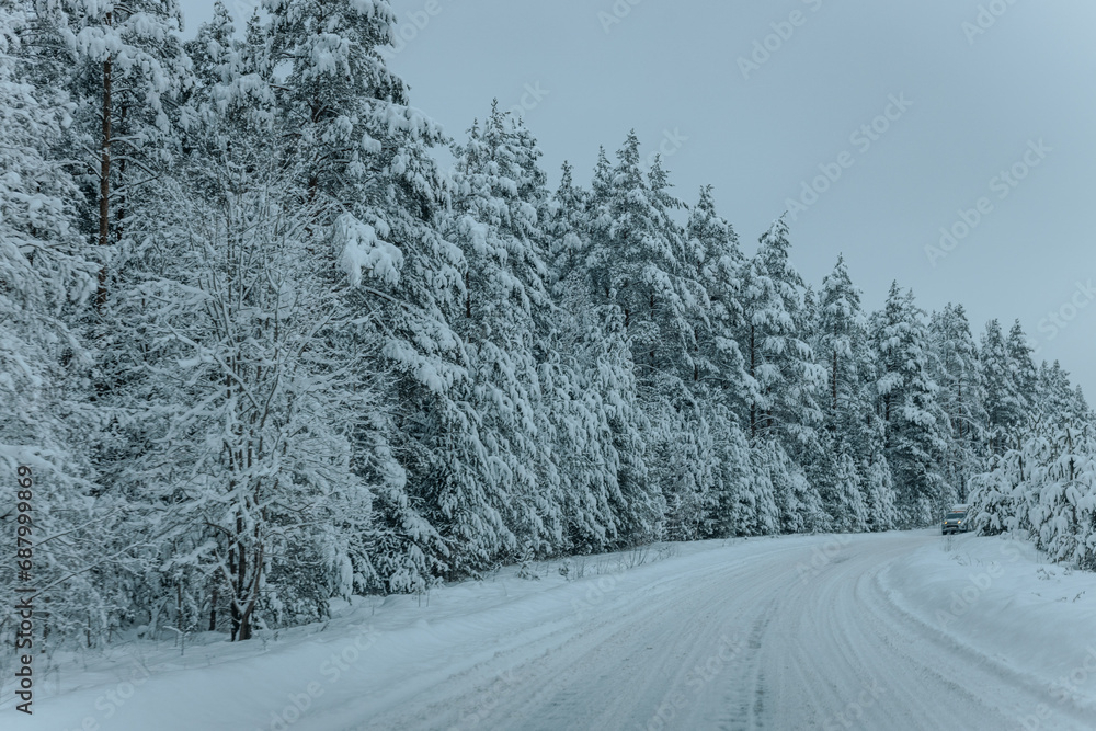 A Wintry Path Through a Chilly Forest with Snow Covered Trees. Winter road through snowy forest, tree lined and cold temperature. A Wintry Path Through a Chilly Forest with Snow Covered Trees. Winter road through snowy forest, tree lined and cold temperature.