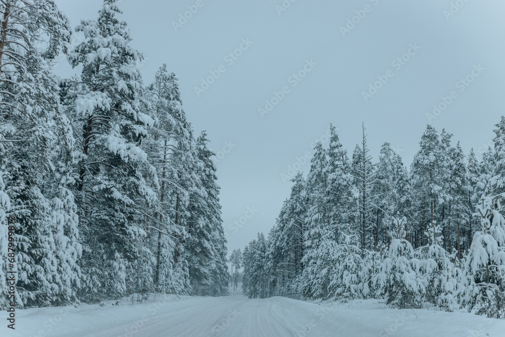 Obraz premium A Wintry Path Through a Chilly Forest with Snow Covered Trees. Winter road through snowy forest, tree lined and cold temperature.