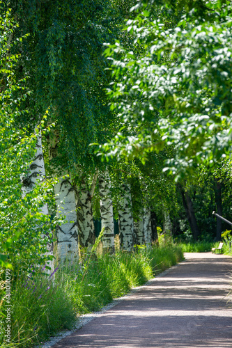 Park Alley. Travel along a scenic path surrounded by tall trees and let the soothing whisper of the leaves rejuvenate your soul. Eco Explorer