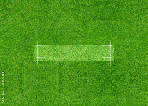 A cricket pitch direct top view of the layout with the grass cricket field