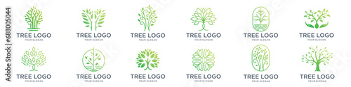 tree logo collections, perfect for company logo or branding. Botanic plant nature symbols. Tree branch with leaves signs. Natural design elements emblem collection. Vector illustration © ulhaq_std