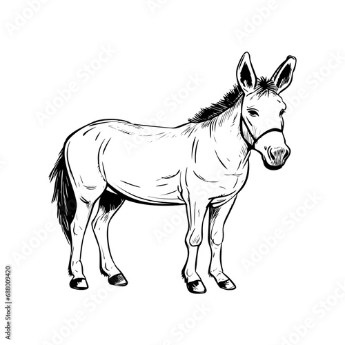 Donkey standing  Basic simple Minimalist vector graphic  isolated on white background  black and white 