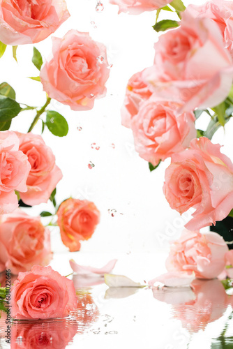 Rose wallpaper for product display  displaying products on roses  pink background