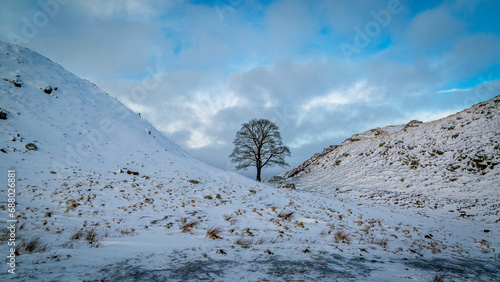Beautiful Winter setting at Sycamore Gap on Hadrian's Wall 