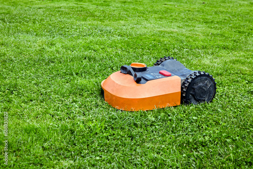Robot lawn mower cuts green grass on the lawn