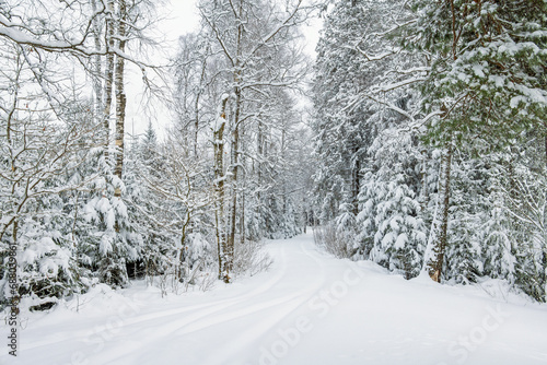 Dirt road i a a snowy forest © Lars Johansson
