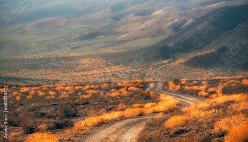 dirt road in beautiful desert steppe among yellow bushes