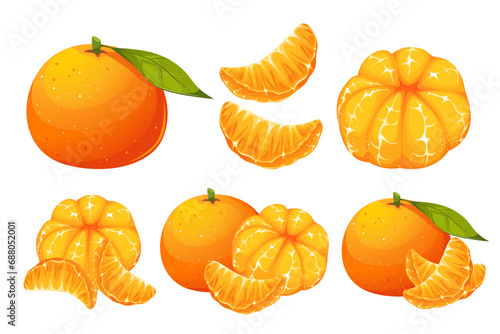 Mandarin, tangerine, clementine.A collection of ripe, juicy exotic fruits.Tangerine in slices, whole fruits.Vector illustration isolated on a white background.