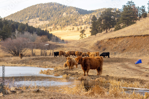 Wallpaper Mural untitled Torontodigital.ca