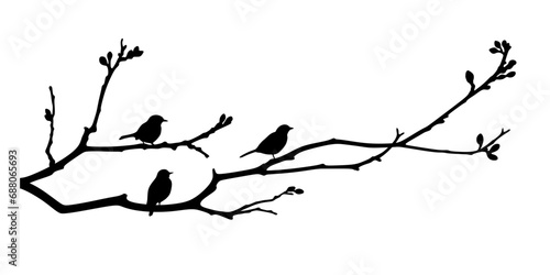 A branch with birds