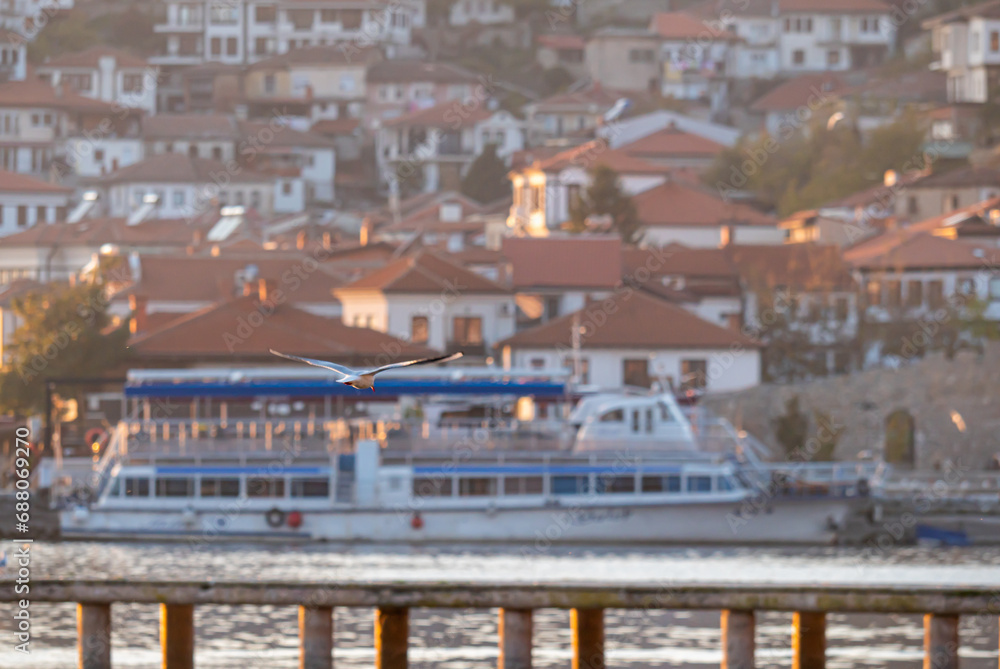 Fototapeta premium gulls fly over lake Ohrid