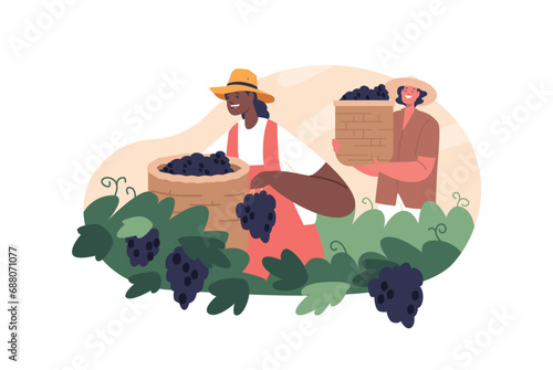Amidst The Golden Hues Of The Vineyard, Diligent Workers Characters Labor, Carefully Harvesting Ripe Grapes