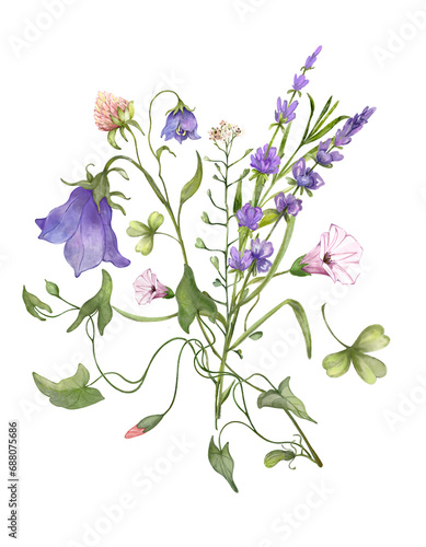 Bouquet of wildflowers with lavender, bluebells, bindweed and clover. Watercolor illustration