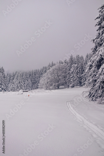 Kleine Winterwanderung im verschneiten Thüringer Wald bei Floh-Seligenthal - Thüringen - Deutschland