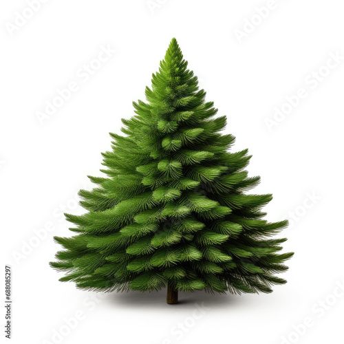 Christmas green tree isolated on white background.. Undecorated.