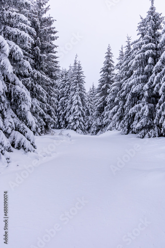 Kleine Winterwanderung durch den Tiefschnee im Thüringer Wald bei Oberhof - Thüringen - Deutschland © Oliver Hlavaty