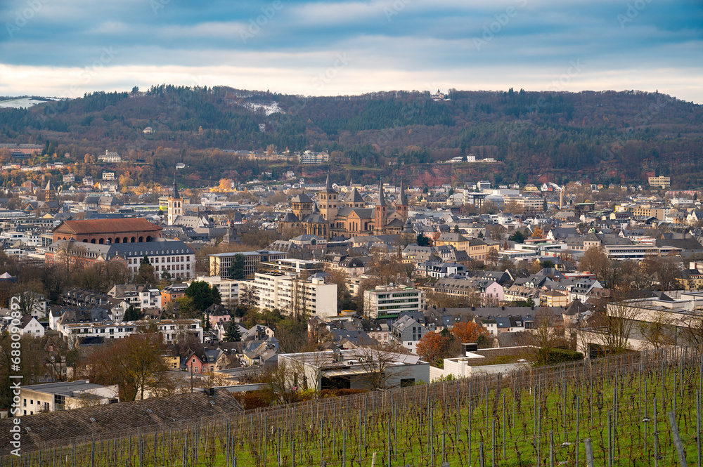 Vineyard with view of the ancient roman city of Trier, the Moselle Valley in Germany, landscape in rhineland palatine
