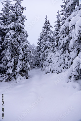 Kleine Winterwanderung durch den Tiefschnee im Thüringer Wald bei Oberhof - Thüringen - Deutschland