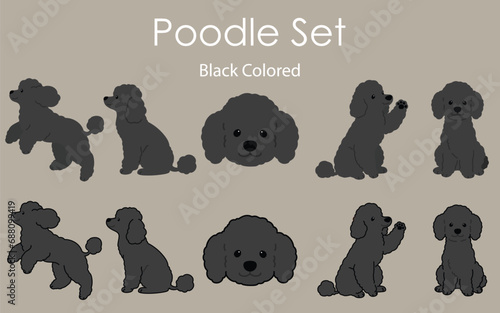 Simple and adorable black colored Poodle set illustrations