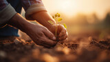 Pair of hands gently cradling a young plant in the soil, symbolizing care and growth, with the warm light of a sunrise in the background