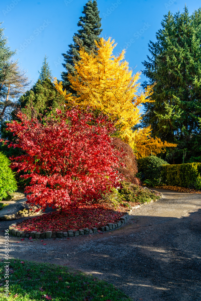 Obraz premium Kubota Autumn Path 6