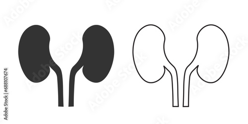 Kidney icon. Anatomy human organ sign background and line vector ilustration. photo