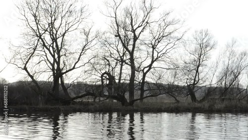 An old willow by the river reflects in the gentle ripples of the current, depicting a wintry, autumnal landscape in the Havelland region. photo