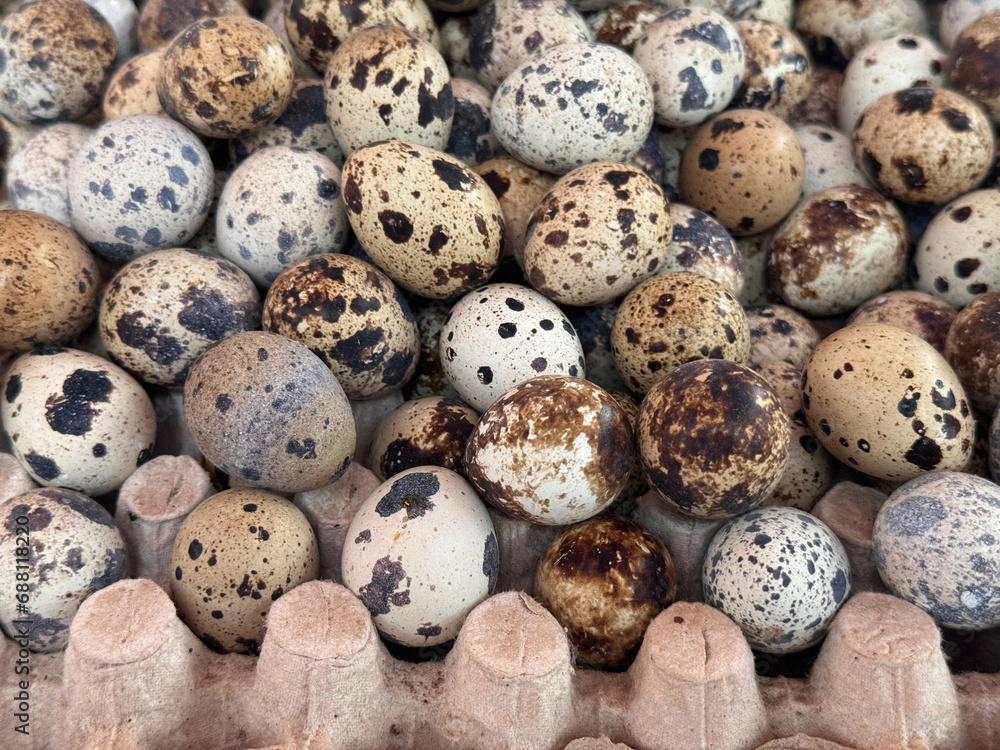 many raw equail eggs in market many raw equail eggs in market