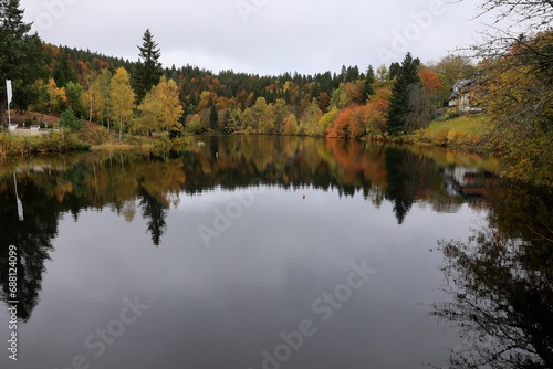 Der Herbstwald spiegelt sich im Klosterweiher bei Sankt Blasien im Schwarzwald