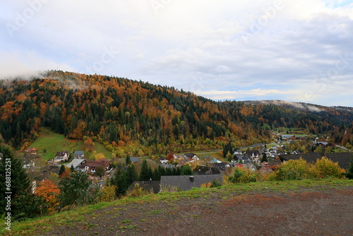 Schöner Herbstwald bei Todtmoos im Schwarzwald