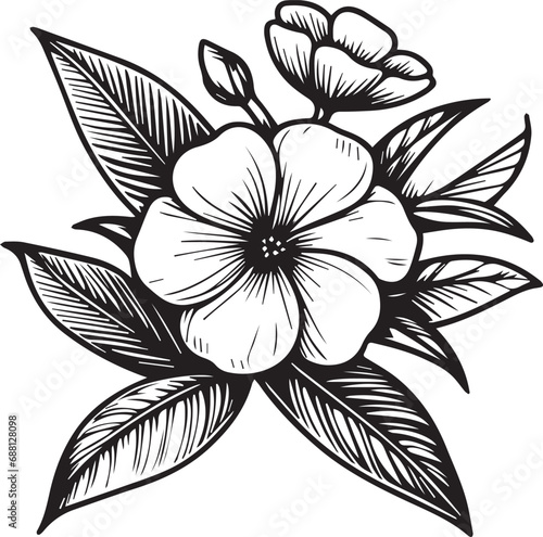 Periwinkle line drawings, hand-painted periwinkle  wall art, periwinklebotanical wall art, simple noyon tara drawing, periwinkle stock outline drawing, madagascar periwinkle line art