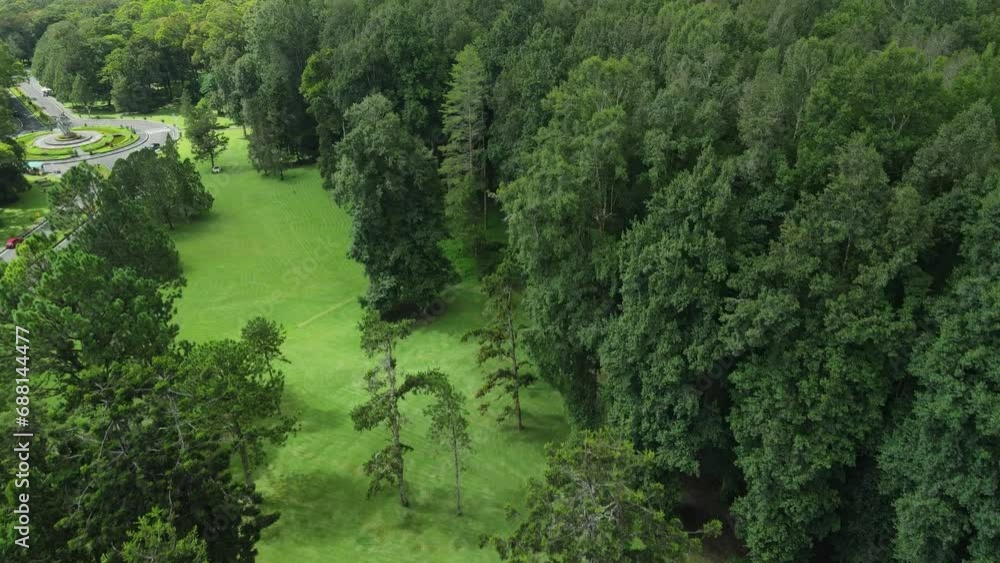 Drone view of botanic garden with giant trees in Bali, Indonesia. Drone view of botanic garden with giant trees in Bali, Indonesia.