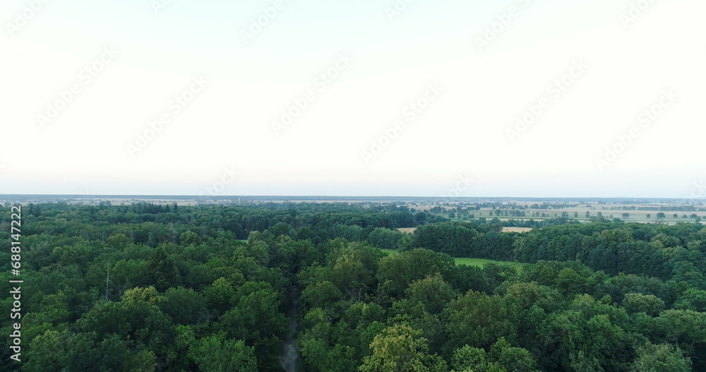 Flying over forest trees. Nature - Aerial Views