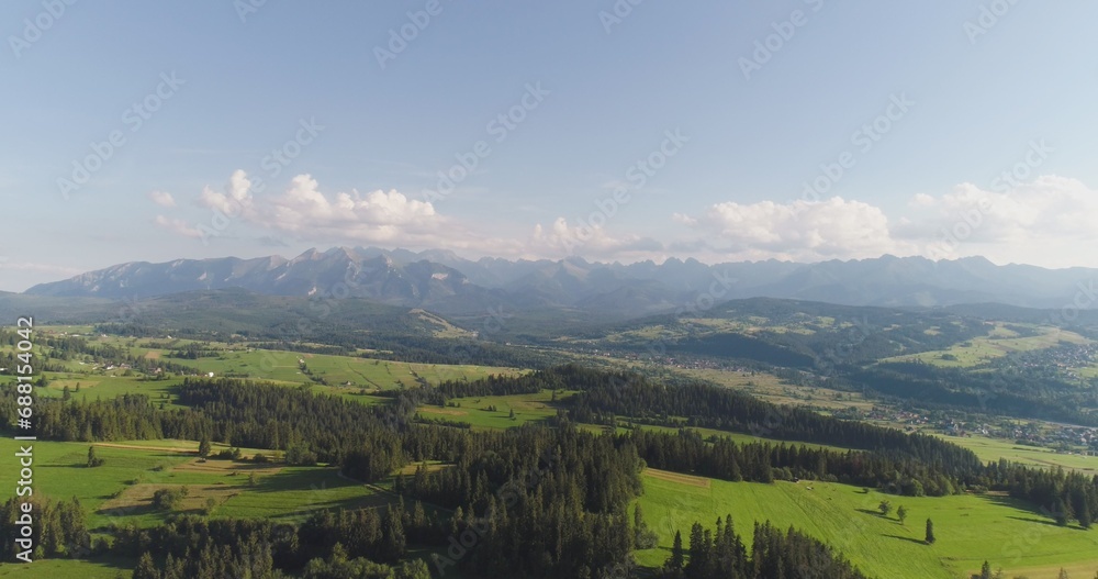 Naklejka premium Flying over the beautiful forest trees. Landscape panorama.