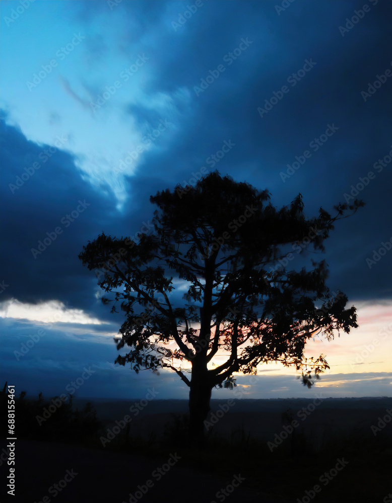 Fototapeta premium Tree silhouetted and dramatic dark blue clouds