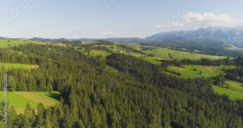 Flying over the beautiful forest trees. Landscape panorama. © volf anders