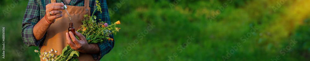 A man collects medicinal herbs in a field. Selective focus. - obrazy, fototapety, plakaty 