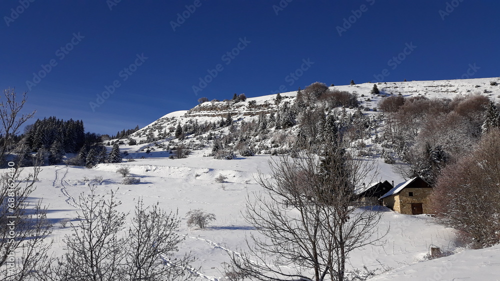 Fototapeta premium Journée de randonnée raquettes dans le Vercors, sur le plateau de Sornin - le 4 décembre 2023 