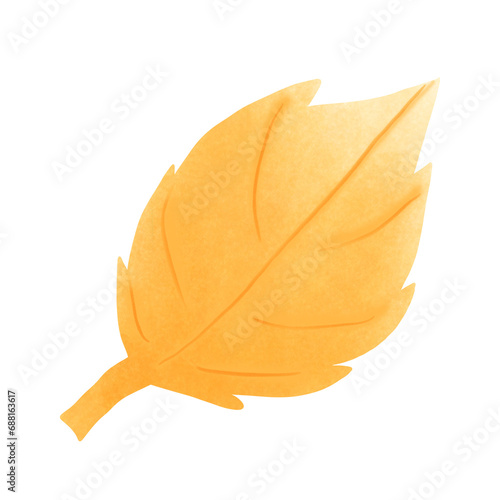 leaf isolated on white
