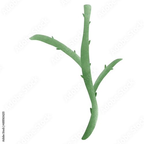Branch