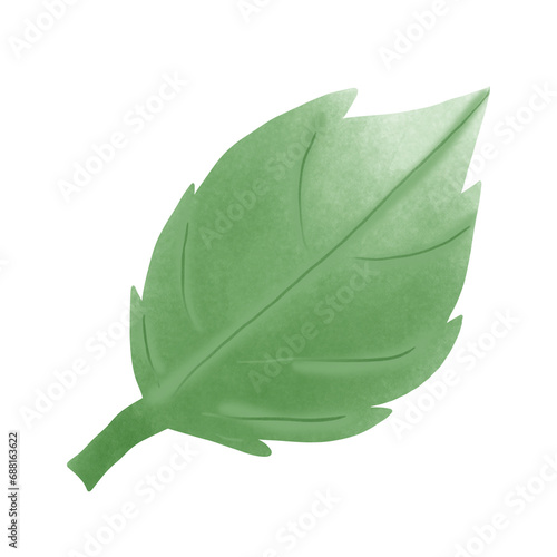 leaf