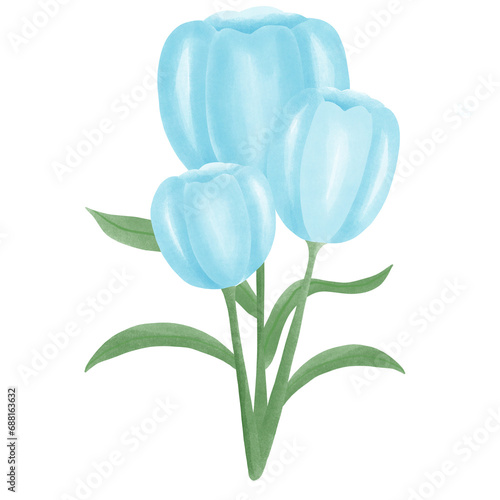 bouquet of tulips
