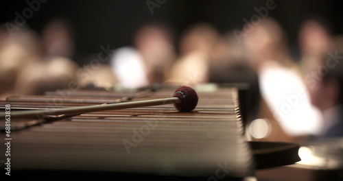 Dulcimer musical instrument during the concert photo