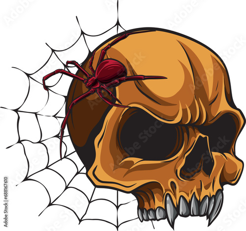 vector of spider with skull illustration